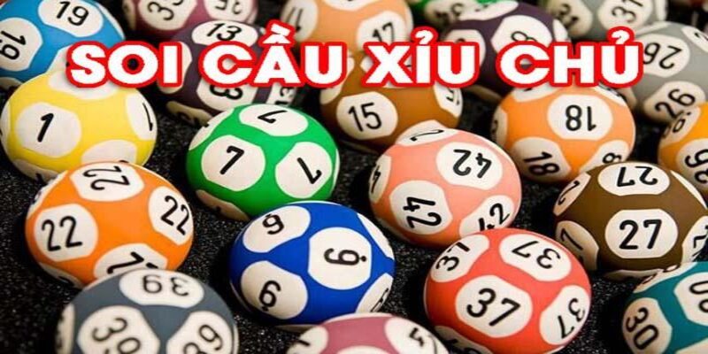 Những loại xỉu chủ được nhiều người ưa chuộng