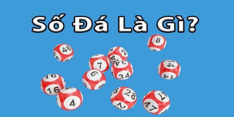 Tìm hiểu số đá là gì?