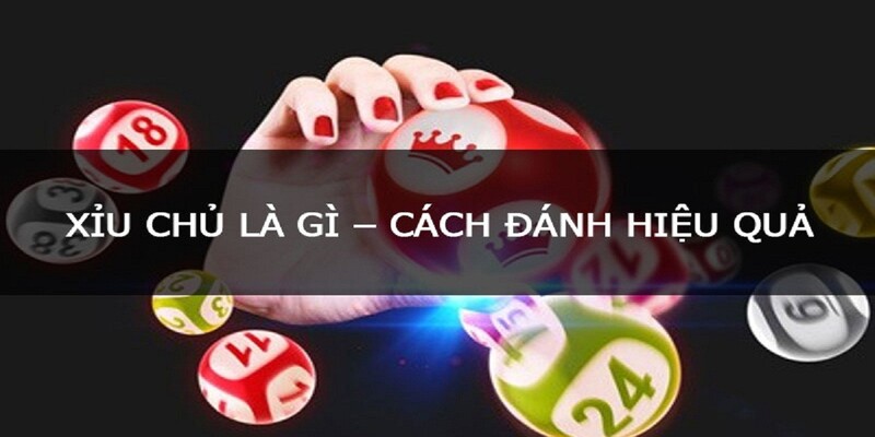Xỉu Chủ Là Gì? Những Loại Xỉu Chủ Cơ Bản Tân Thủ Cần Biết